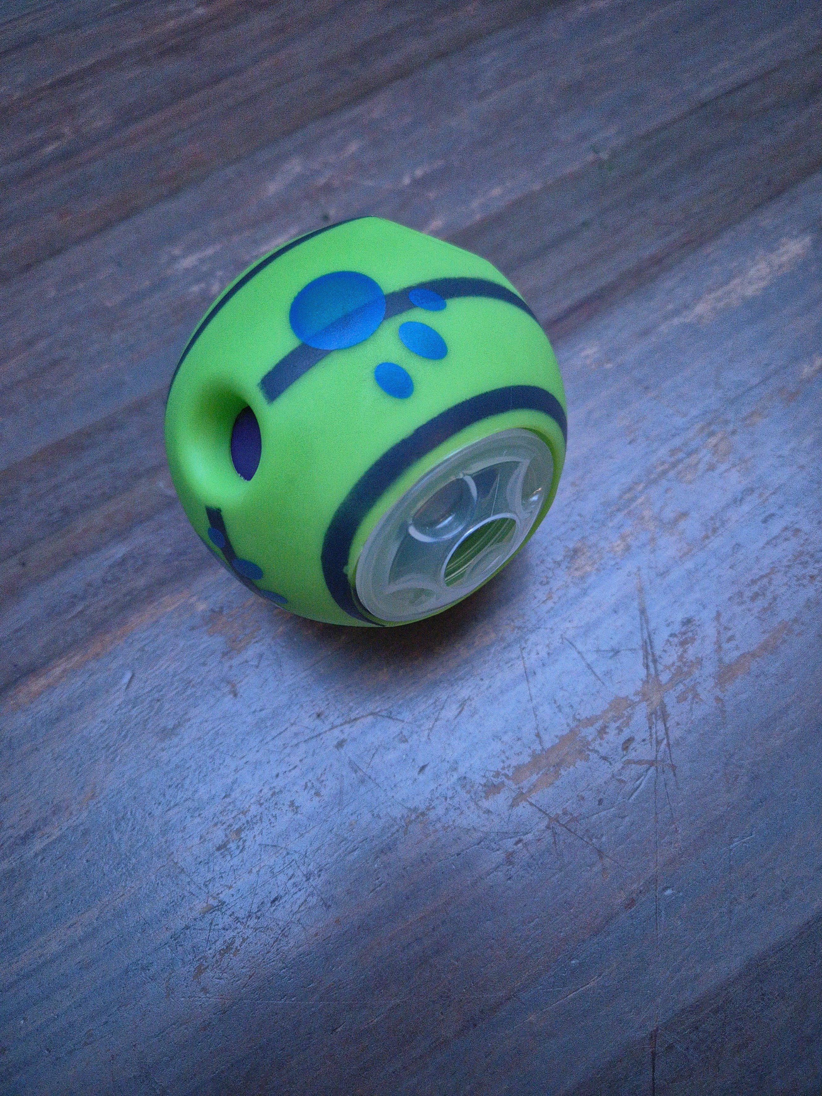 dog products toys leash