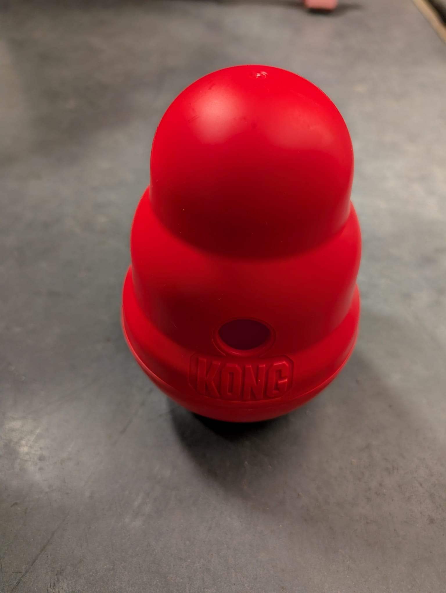 dog products toys leash